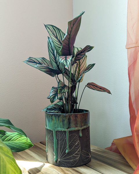 Botanical Origami Planter