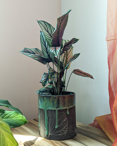 Botanical Origami Planter