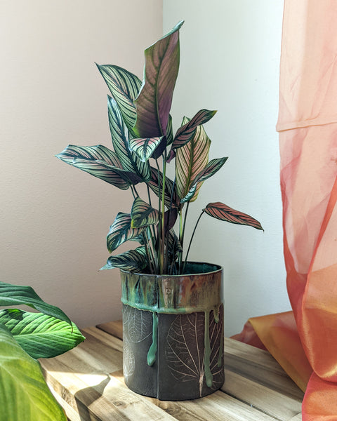 Botanical Origami Planter