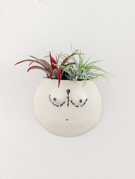 Reina #09 Wall Planter