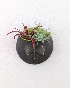 Reina #02 Wall Planter