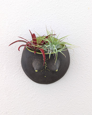 Reina #02 Wall Planter