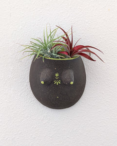 Reina #01 Wall Planter