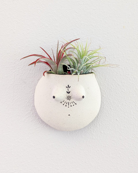 Reina #05 Wall Planter