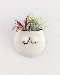 Reina #03 Wall Planter