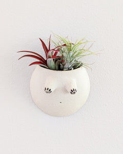 Reina #07 Wall Planter