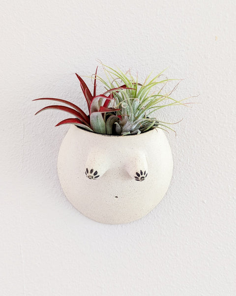 Reina #07 Wall Planter