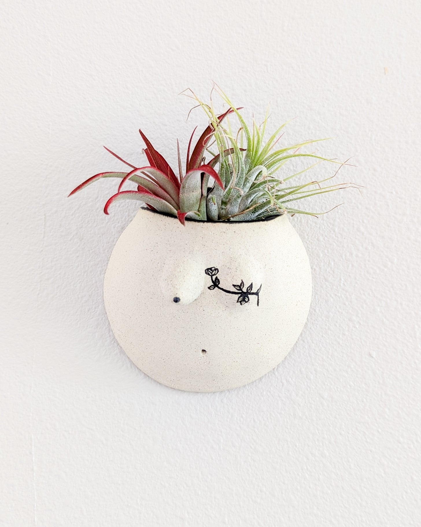 Reina #04 Wall Planter