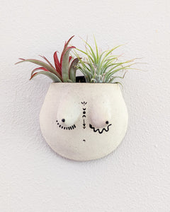 Reina #06 Wall Planter