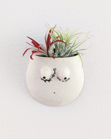 Reina #03 Wall Planter